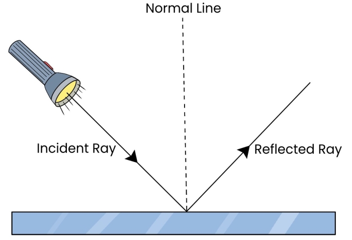 labelled diagram incident and reflection ray